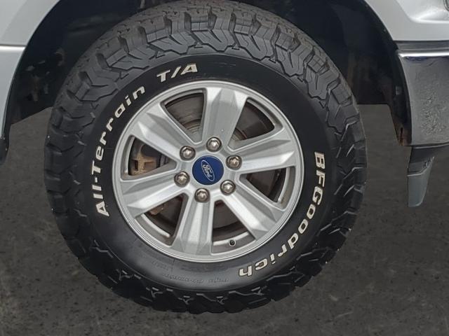 2019 Ford F-150 Vehicle Photo in Brunswick, GA 31525