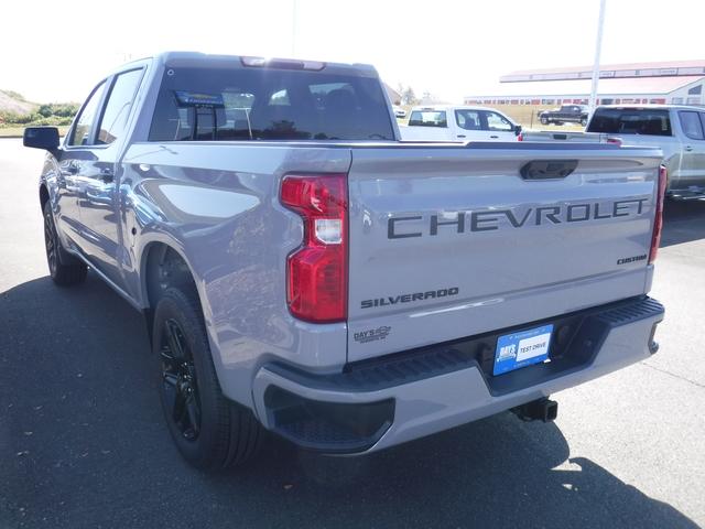 2024 Chevrolet Silverado 1500 Vehicle Photo in JASPER, GA 30143-8655