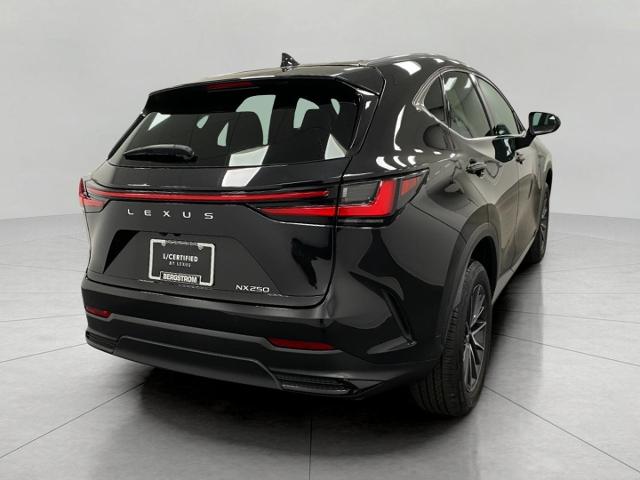 2024 Lexus NX 250 Vehicle Photo in Appleton, WI 54913