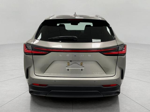 2024 Lexus NX 250 Vehicle Photo in Appleton, WI 54913
