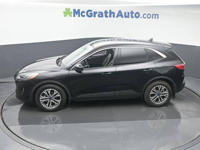 2022 Ford Escape Vehicle Photo in Cedar Rapids, IA 52402