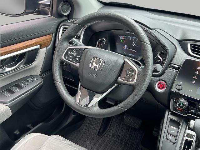2019 Honda CR-V Vehicle Photo in Appleton, WI 54914
