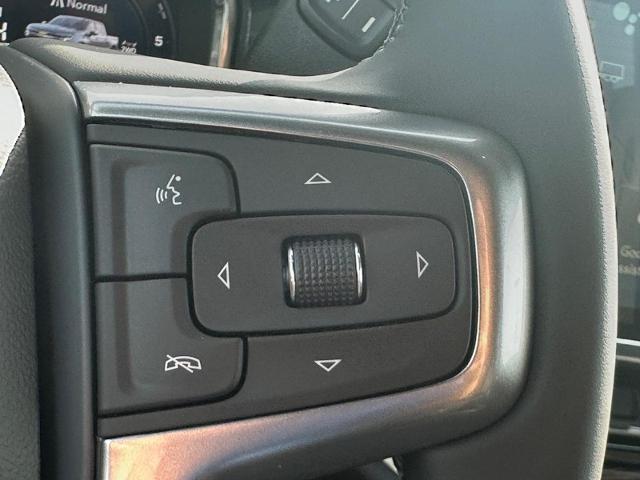 2025 Chevrolet Silverado 1500 Vehicle Photo in COLUMBIA, MO 65203-3903