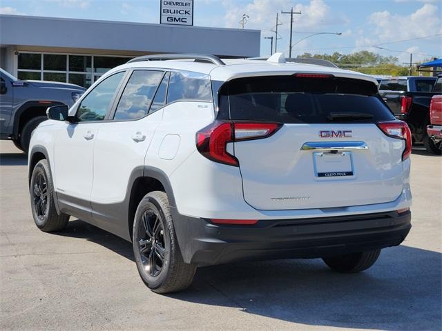 2024 GMC Terrain Vehicle Photo in GAINESVILLE, TX 76240-2013