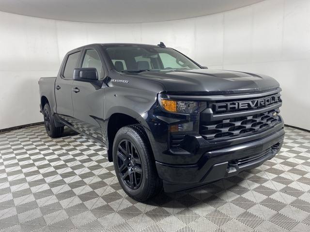 2023 Chevrolet Silverado 1500 Vehicle Photo in MEDINA, OH 44256-9001