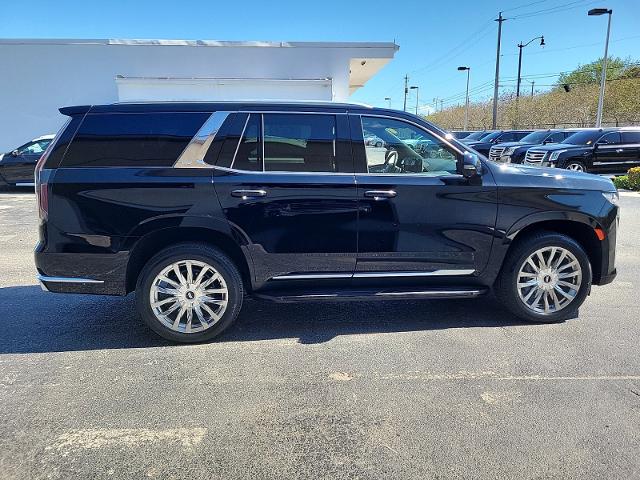 2021 Cadillac Escalade Vehicle Photo in POMPANO BEACH, FL 33064-7091