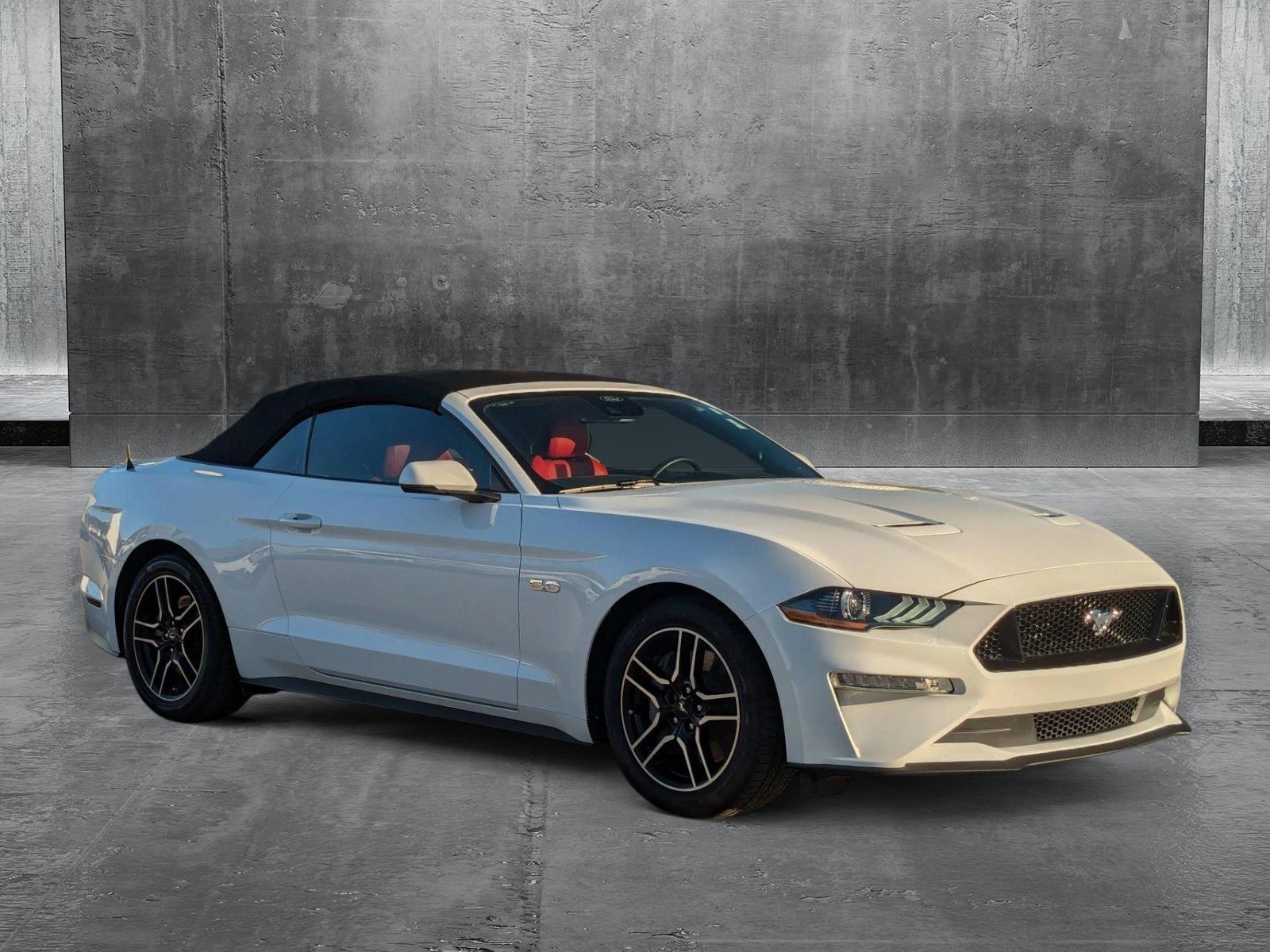 2022 Ford Mustang Vehicle Photo in St. Petersburg, FL 33713