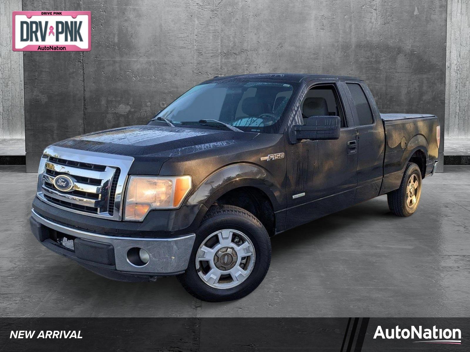 2011 Ford F-150 Vehicle Photo in PEMBROKE PINES, FL 33024-6534