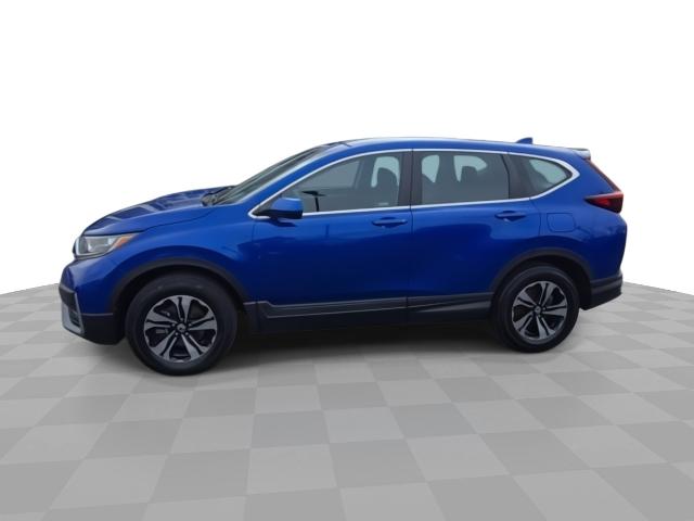 2022 Honda CR-V Vehicle Photo in WILLIAMSVILLE, NY 14221-2883