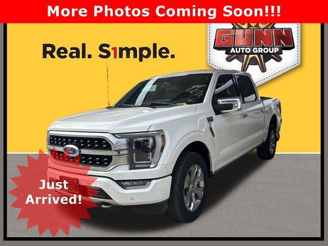 2022 Ford F-150 Vehicle Photo in SELMA, TX 78154-1459