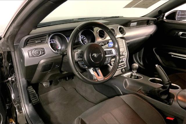 2023 Ford Mustang Vehicle Photo in Lees Summit, MO 64086