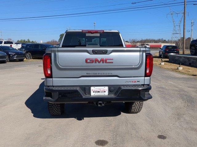 2025 GMC Sierra 1500 Vehicle Photo in ALBERTVILLE, AL 35950-0246