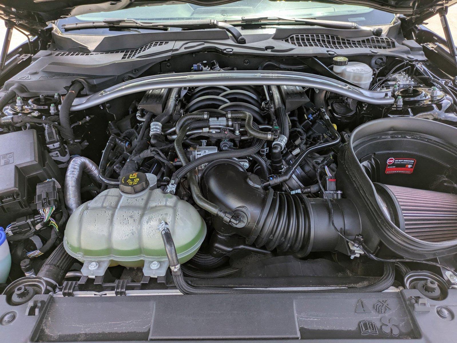 2022 Ford Mustang Vehicle Photo in Jacksonville, FL 32256