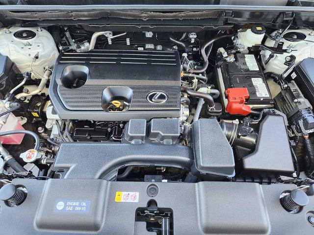 2024 Lexus NX 250 Vehicle Photo in FORT WORTH, TX 76132