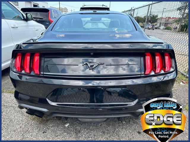 2019 Ford Mustang Vehicle Photo in Roslyn, NY 11576