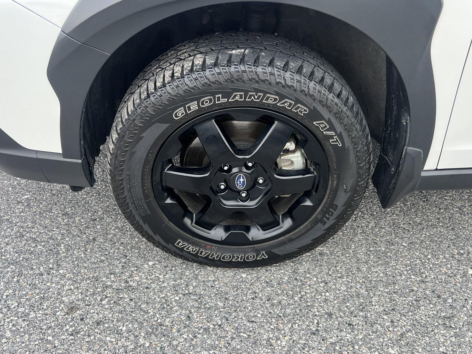2022 Subaru Outback Vehicle Photo in Mechanicsburg, PA 17050