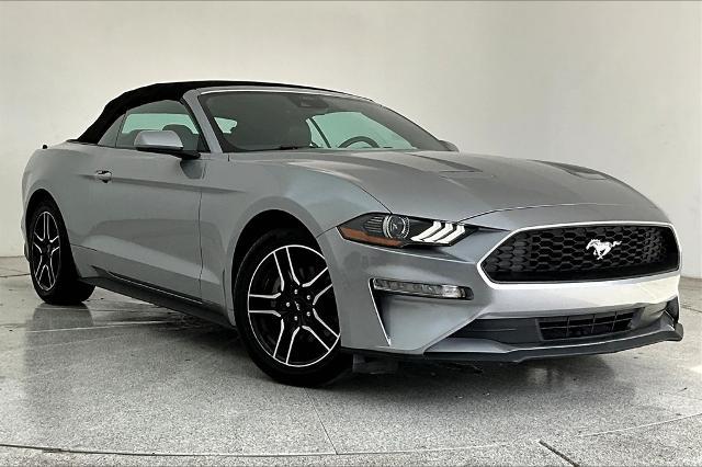 2023 Ford Mustang Vehicle Photo in Grapevine, TX 76051