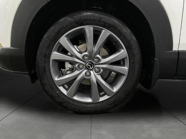 2025 Mazda CX-30 Vehicle Photo in Appleton, WI 54913