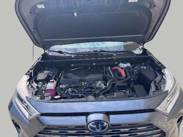 2019 Toyota RAV4 Vehicle Photo in Oshkosh, WI 54901
