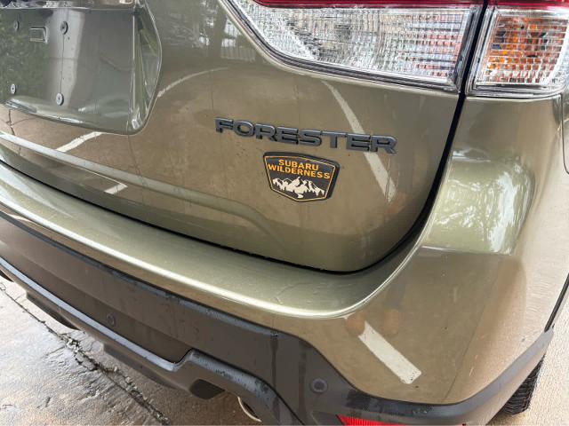2024 Subaru Forester Vehicle Photo in DALLAS, TX 75209