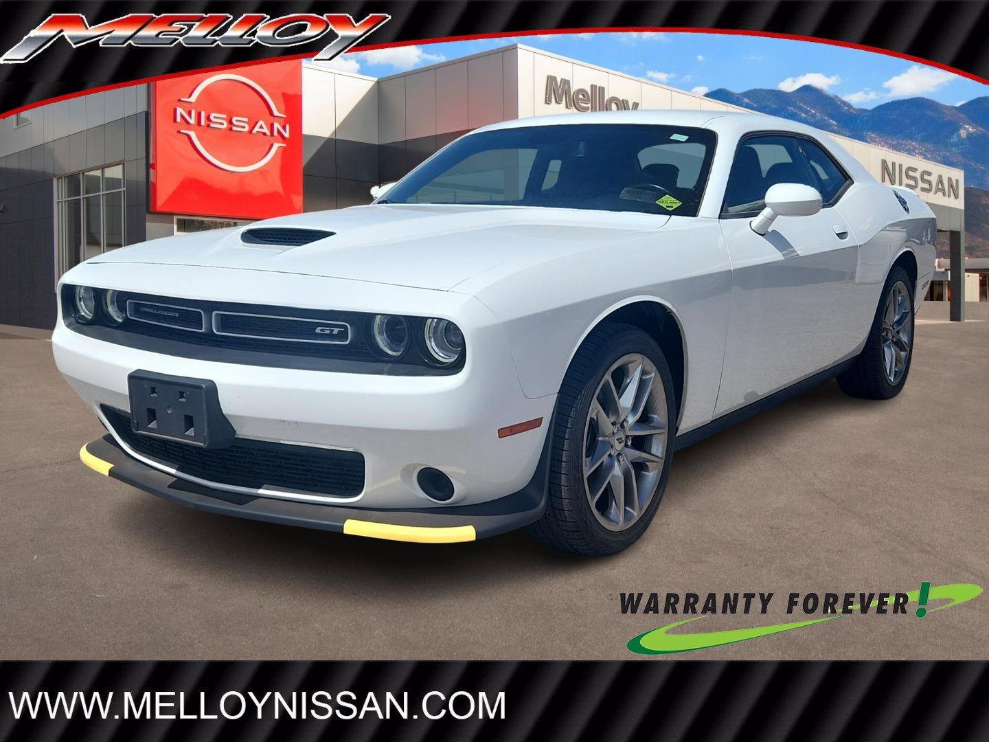 2023 Dodge Challenger Vehicle Photo in Albuquerque, NM 87110
