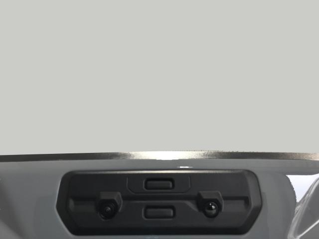 2025 GMC Sierra 1500 Vehicle Photo in GREEN BAY, WI 54303-3330