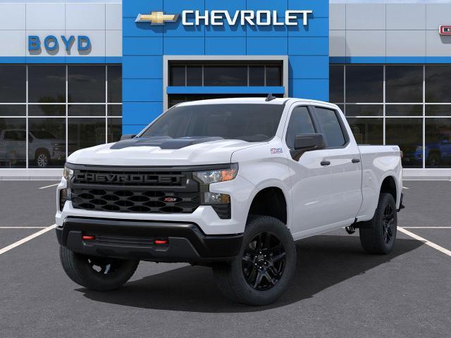 2025 Chevrolet Silverado 1500 Vehicle Photo in EMPORIA, VA 23847-1235