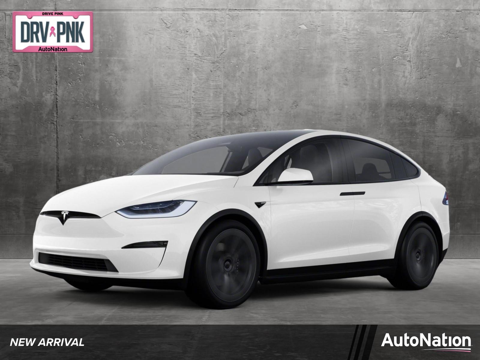 2022 Tesla Model X Vehicle Photo in Delray Beach, FL 33444