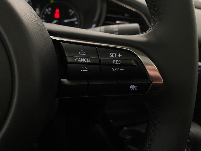 2025 Mazda CX-30 Vehicle Photo in Appleton, WI 54913