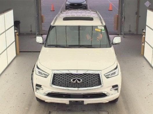 2023 INFINITI QX80 Vehicle Photo in Grapevine, TX 76051