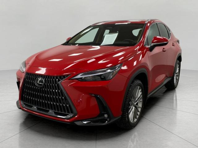 2025 Lexus NX 350h Vehicle Photo in Appleton, WI 54913