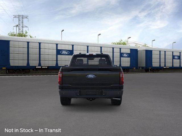 2025 Ford F-150 Vehicle Photo in Weatherford, TX 76087