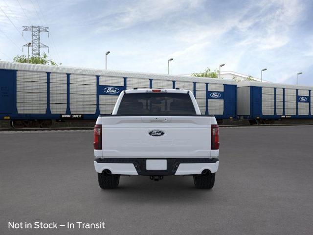 2025 Ford F-150 Vehicle Photo in Weatherford, TX 76087