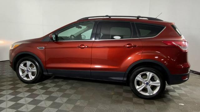 2014 Ford Escape Vehicle Photo in ALLIANCE, OH 44601-4622