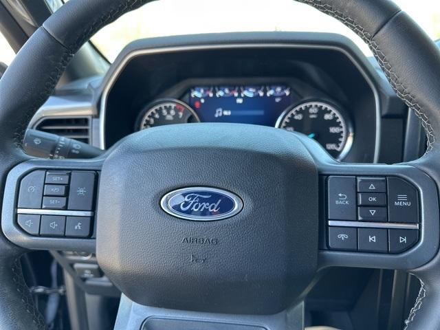 2023 Ford F-150 Vehicle Photo in Webster, MA 01570-1415