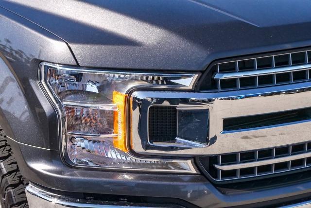 2020 Ford F-150 Vehicle Photo in VENTURA, CA 93003-8585