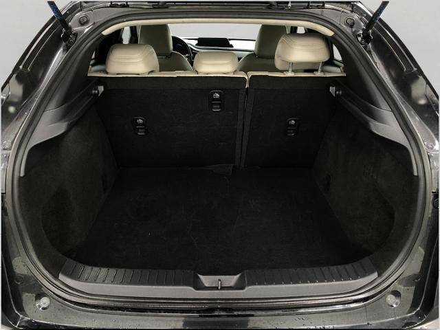 2024 Mazda CX-30 Vehicle Photo in Appleton, WI 54913