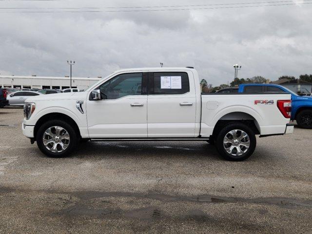 2022 Ford F-150 Vehicle Photo in SUGAR LAND, TX 77478-0000