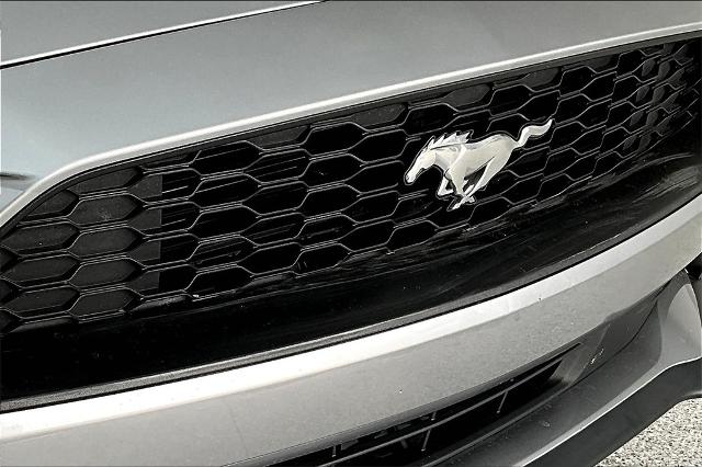 2022 Ford Mustang Vehicle Photo in Grapevine, TX 76051