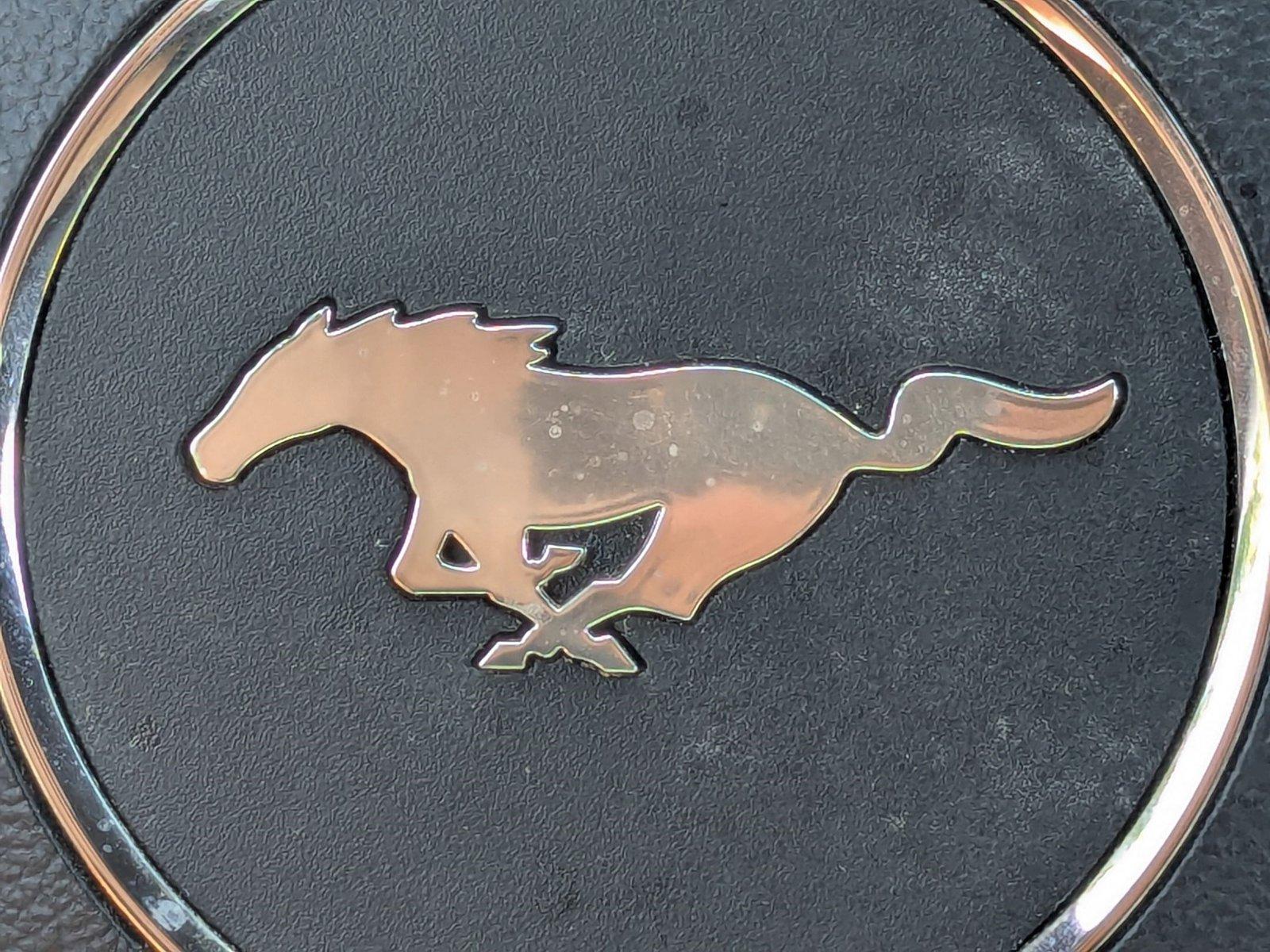 2019 Ford Mustang Vehicle Photo in Panama City, FL 32401