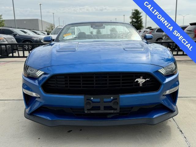 2021 Ford Mustang Vehicle Photo in San Antonio, TX 78230