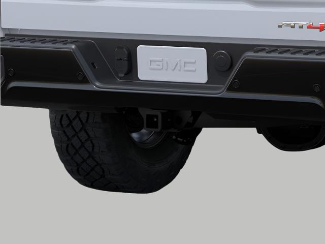 2025 GMC Sierra 1500 Vehicle Photo in OSHKOSH, WI 54904-7811