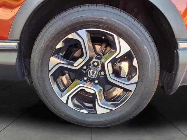 2019 Honda CR-V Vehicle Photo in Oshkosh, WI 54904