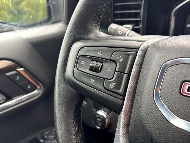 2024 GMC Sierra 1500 Vehicle Photo in BEAUFORT, SC 29906-4218