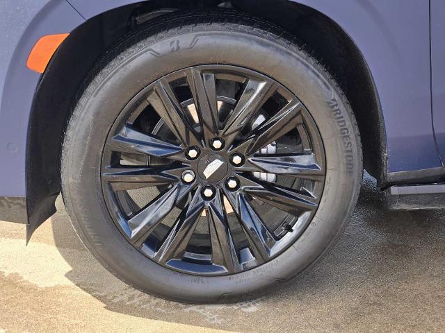 2023 Cadillac Escalade Vehicle Photo in DENTON, TX 76210-9321