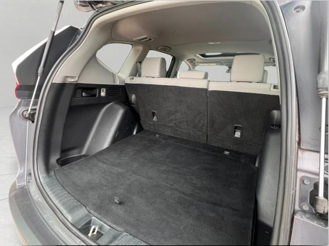 2019 Honda CR-V Vehicle Photo in Appleton, WI 54914