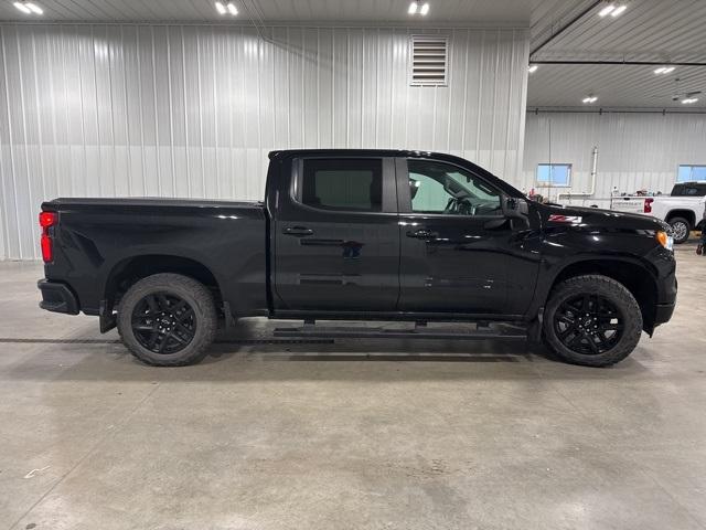 2023 Chevrolet Silverado 1500 Vehicle Photo in GLENWOOD, MN 56334-1123