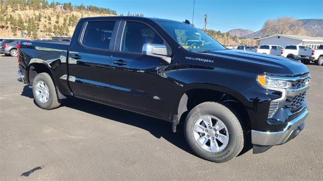 2025 Chevrolet Silverado 1500 Vehicle Photo in FLAGSTAFF, AZ 86001-6214