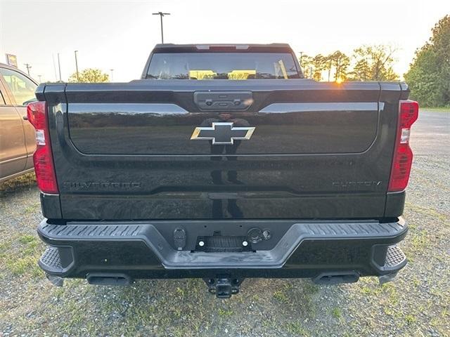 2025 Chevrolet Silverado 1500 Vehicle Photo in SEAFORD, DE 19973-8463