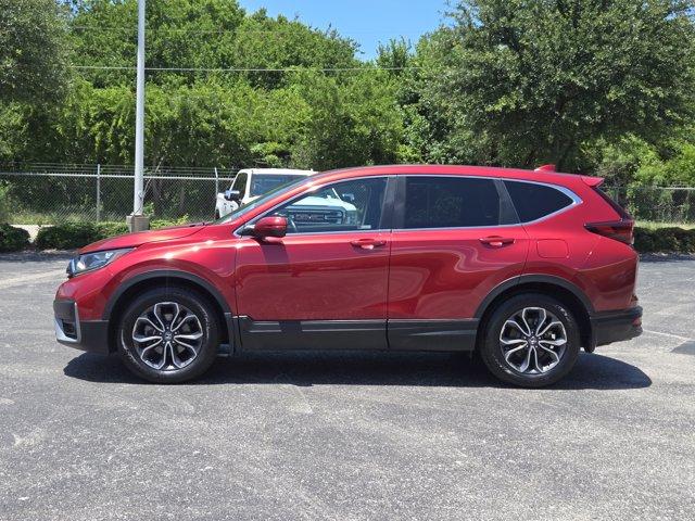 2022 Honda CR-V Vehicle Photo in Decatur, TX 76234